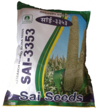 PearlMillet / Bajra Sai-3353